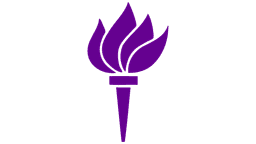 NYU Stern Logo